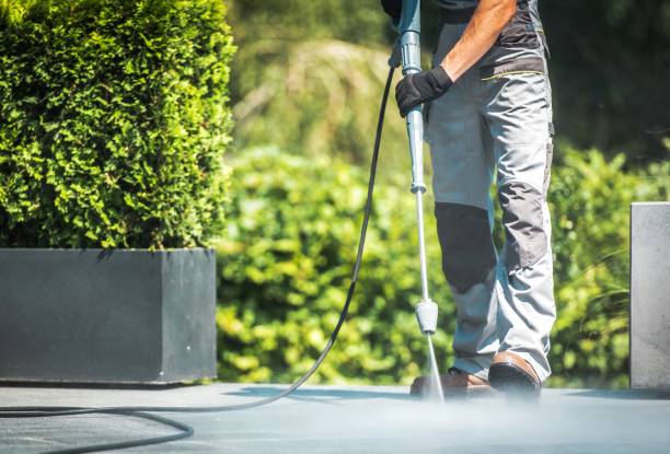 Best Animal Enclosure Cleaning  in Scow Mills, MO