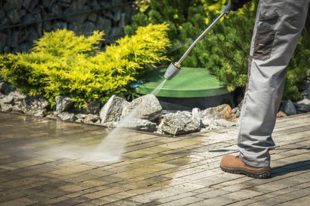 Best Pre-Holiday Cleaning  in Scow Mills, MO