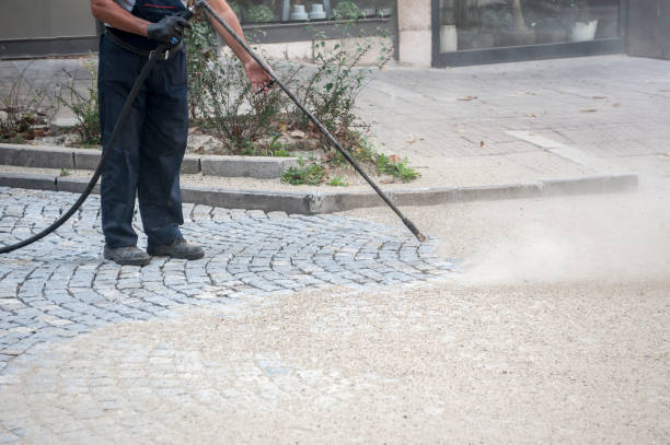 Best Sidewalk and Walkway Cleaning  in Scow Mills, MO